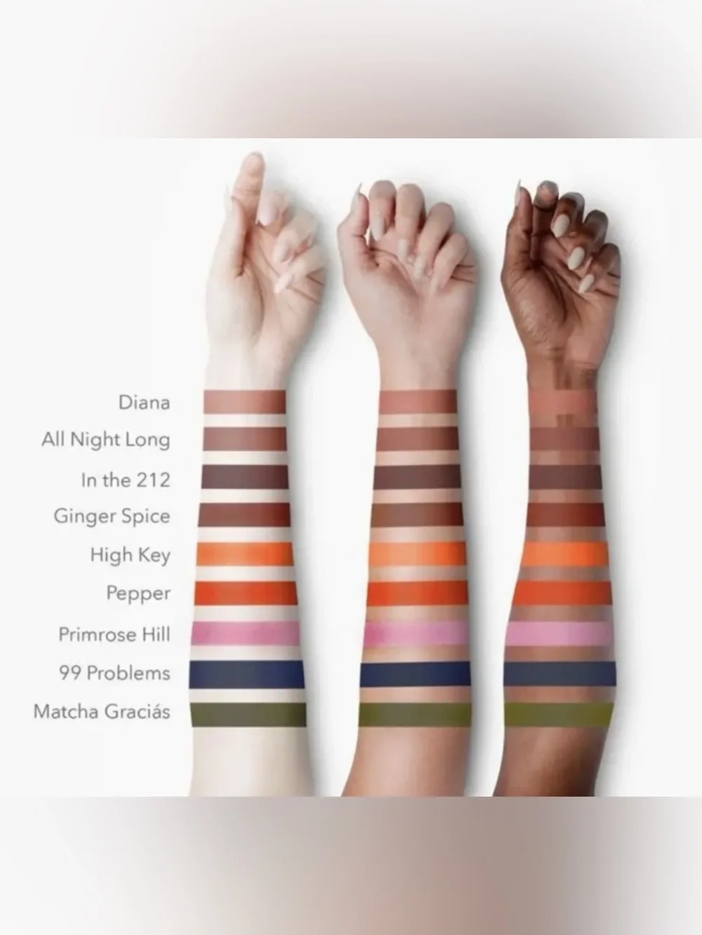 NIB Karity The Mattes Liquid Lipstick - Pepper